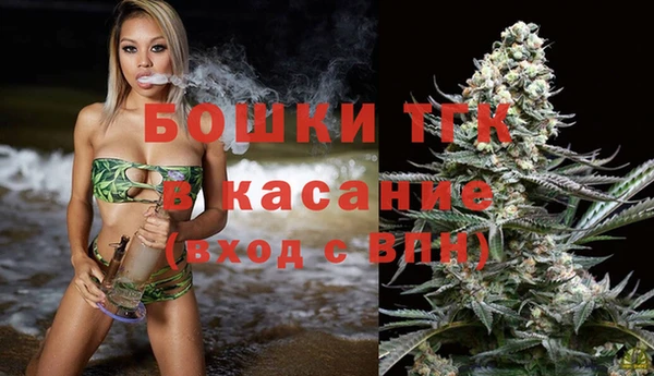 тгк Вяземский