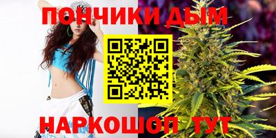 гидра Беслан