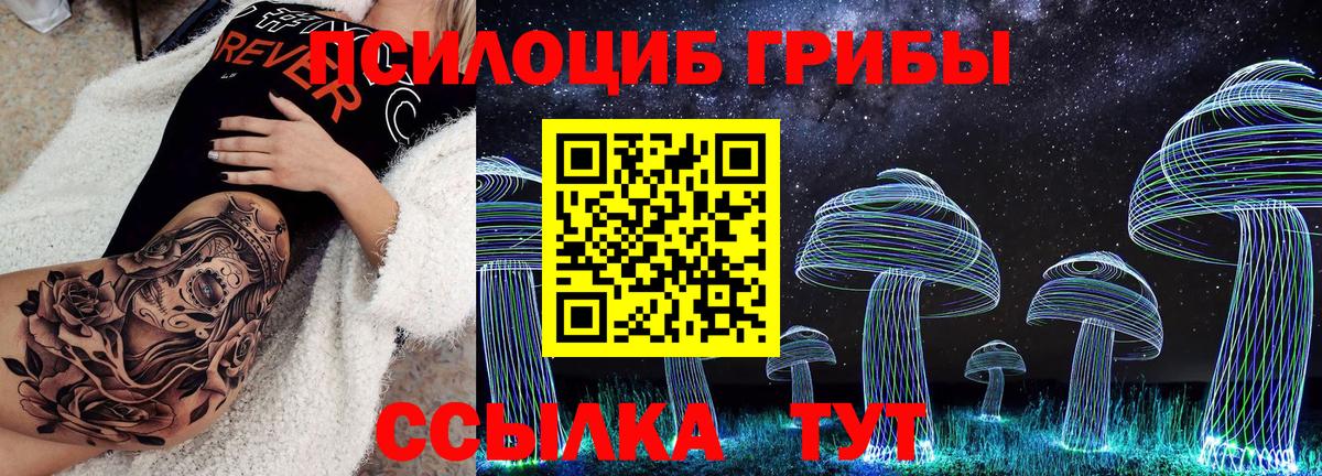 Грязи  Псилоцибиновые грибы мухоморы  Галлюциногенные грибы мицелий  Вход с VPN 